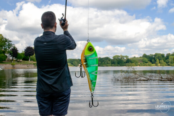SWIM GLIDEBAIT – Image 6