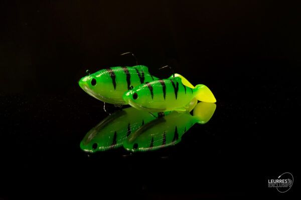 RICKY THE ROACH SHADTAIL – Image 7