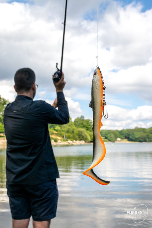 BULLTEEZ CURLTAIL – Image 4