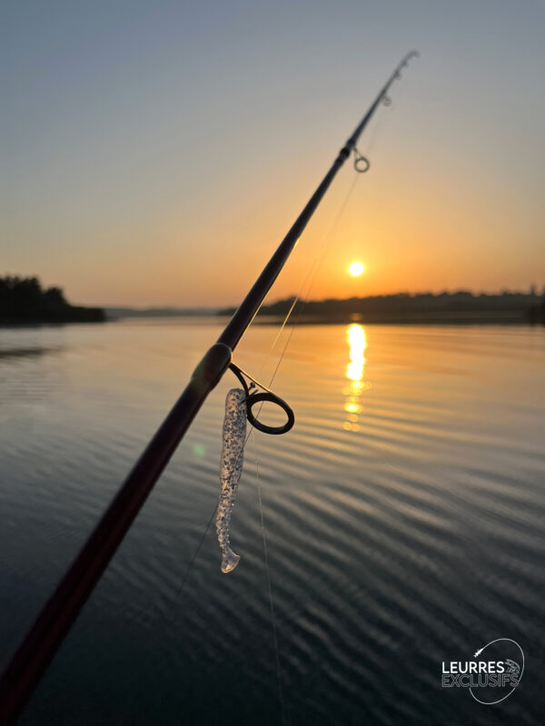 ROCKVIBE SHAD – Image 3