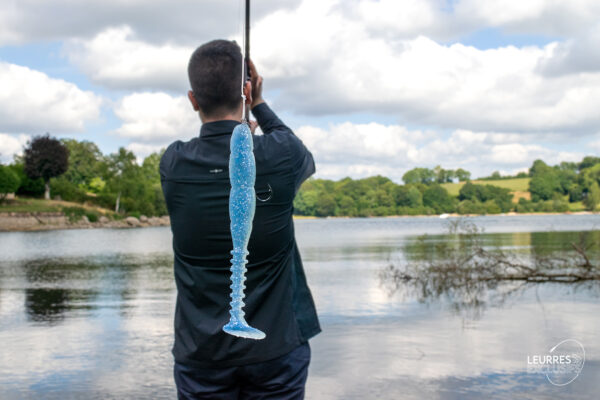 FAT ROCKVIBE SHAD – Image 3