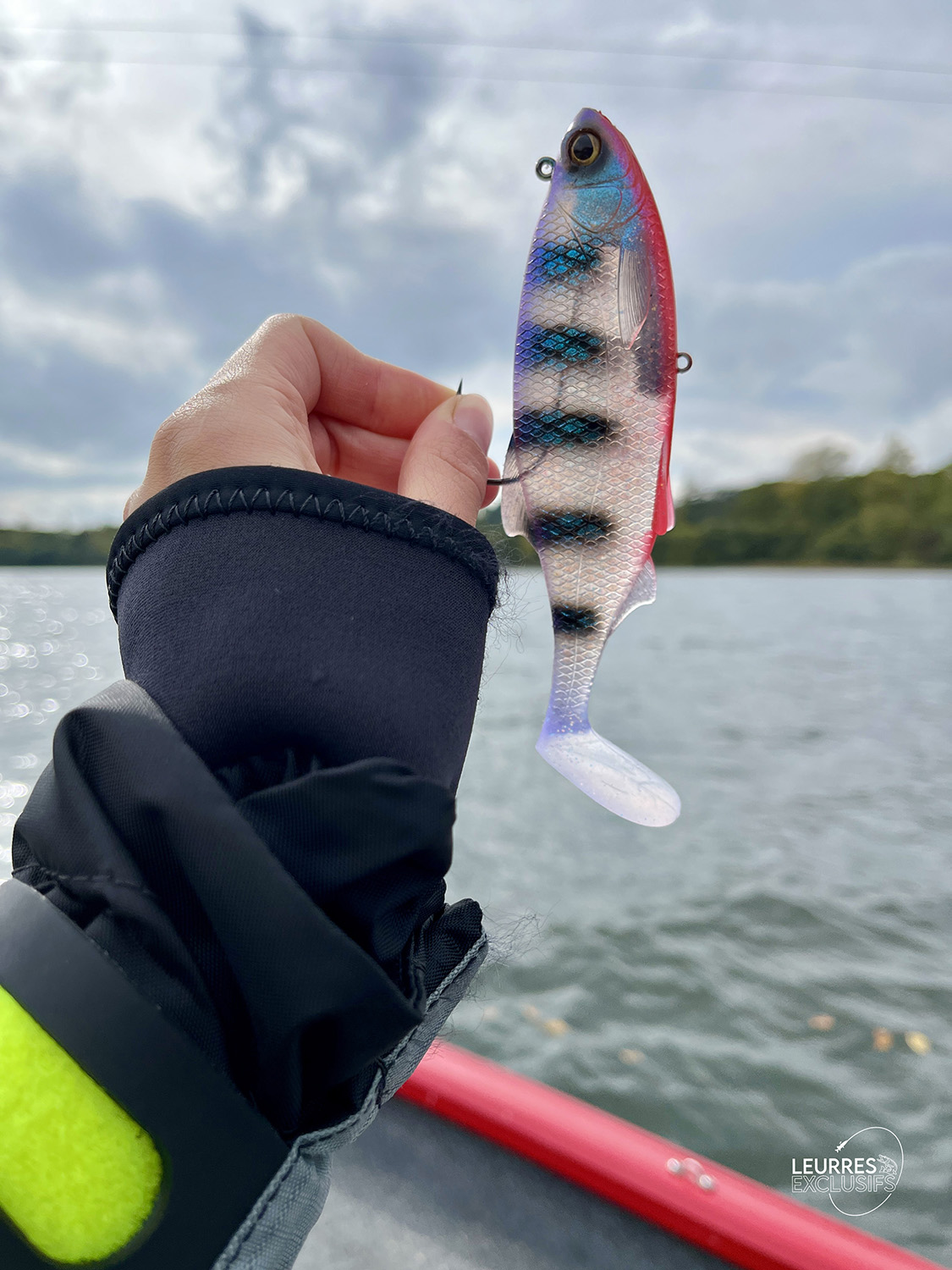 RICKY THE ROACH SHADTAIL – Image 4