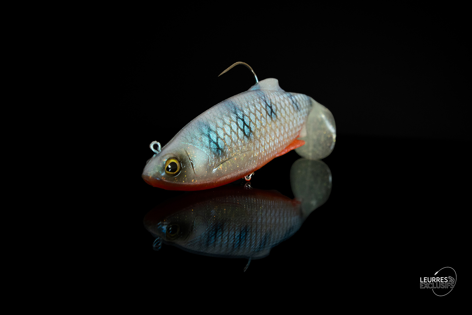 RICKY THE ROACH SHADTAIL – Image 2