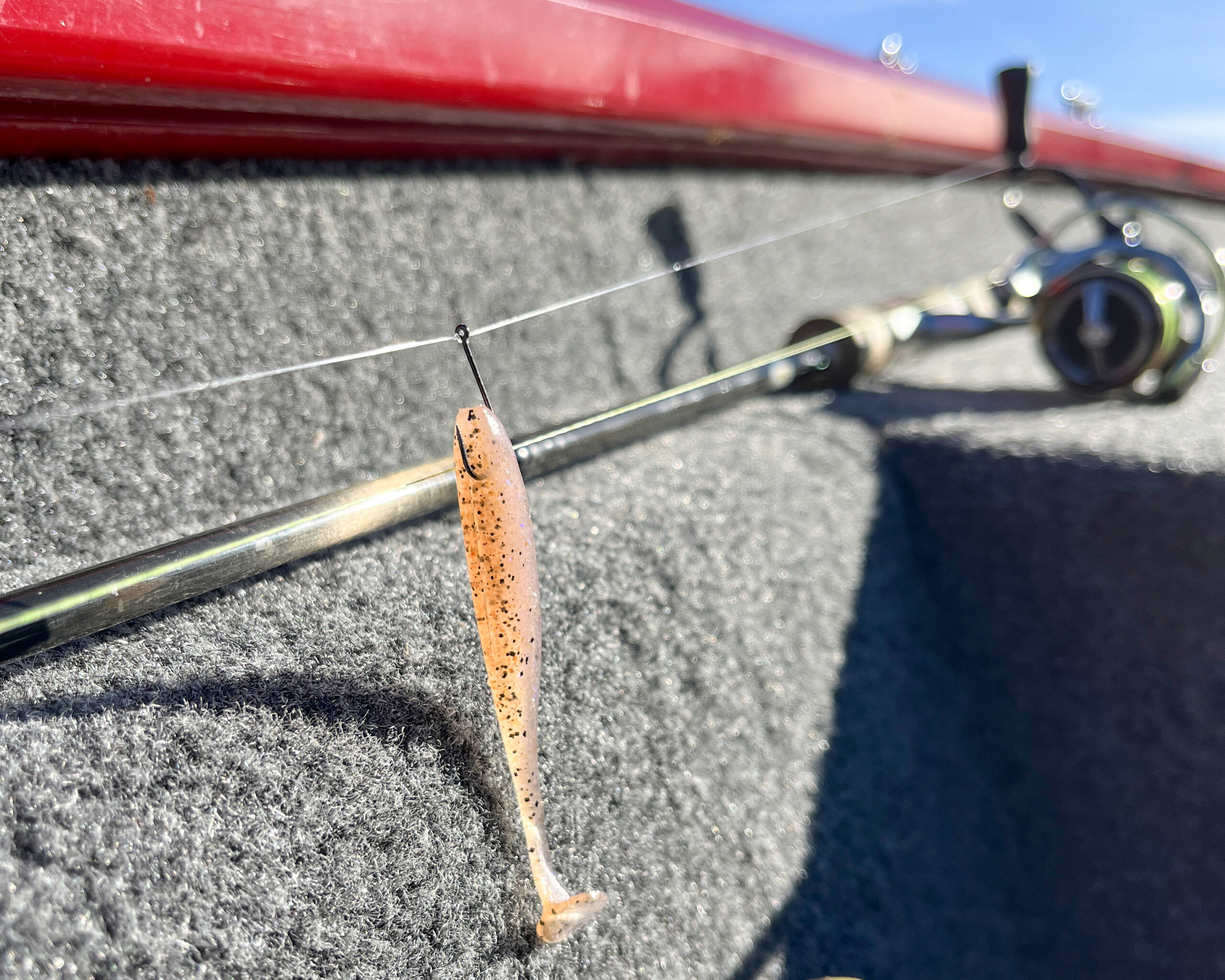 EASY SHINER – Image 2