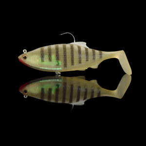 RICKY THE ROACH WESTIN